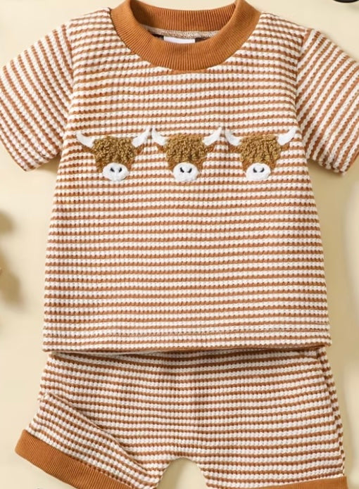 Highland Cow Set