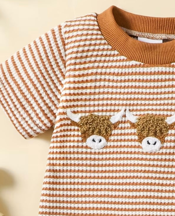 Highland Cow Set