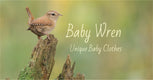 Baby Wren - Home
